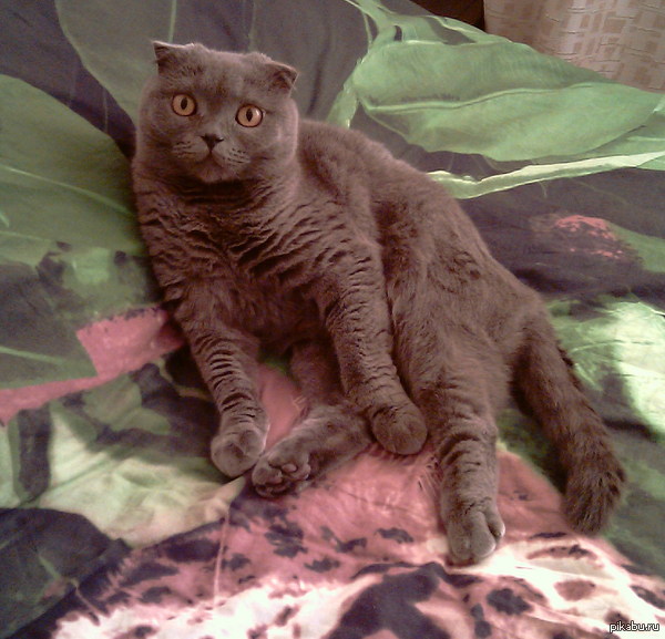 ��� ����, ��� ������� �� �����...