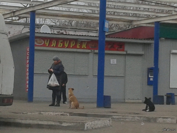 �������