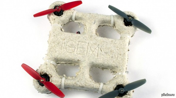 Беспилотник из грибов