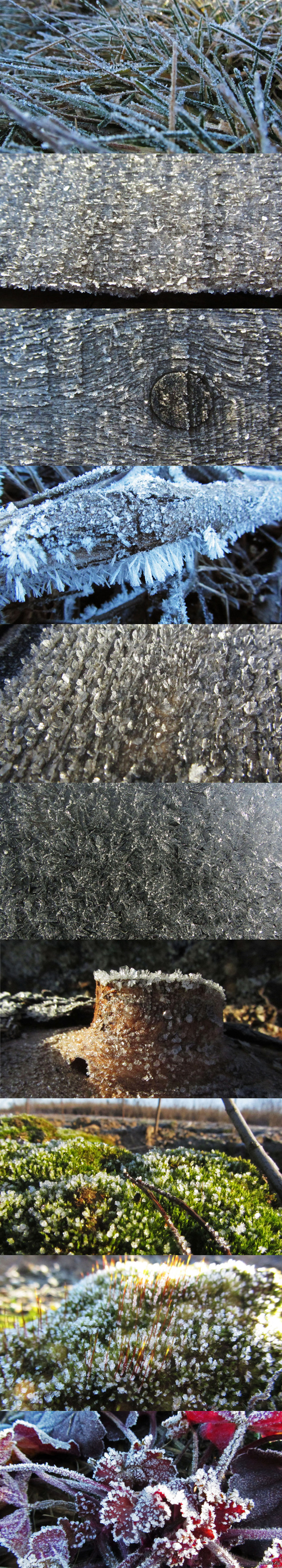 Мороз и солнце