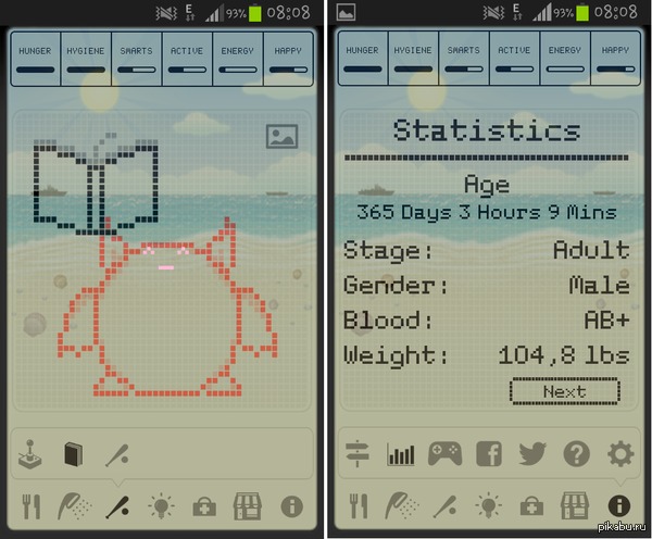 ������� ����� �������� ���������� ���. � ���� ��������, �����, �������� �������� ���� : 3