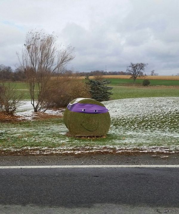 Донателло уже не тот