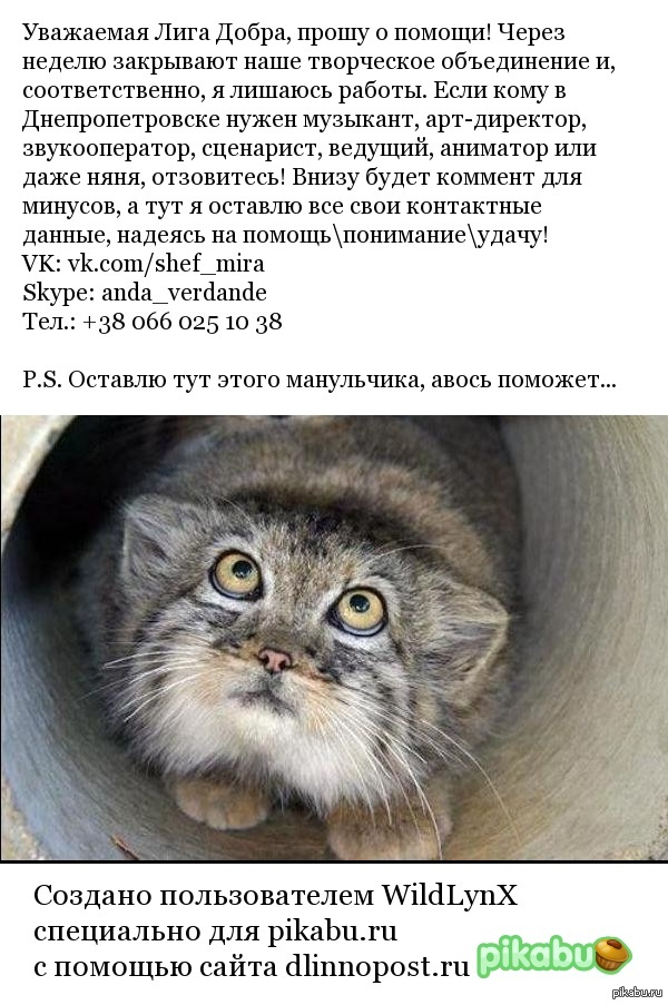 Обращаюсь в Лигу Добра!