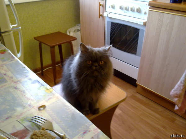 я пропущу одну