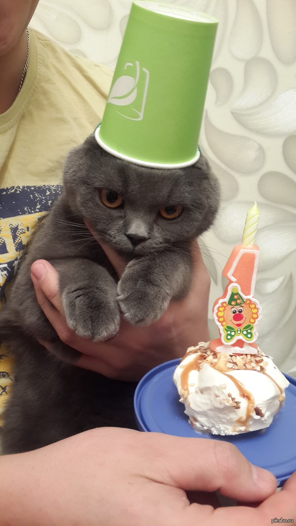 � ����� �������� ������� ���� �������!