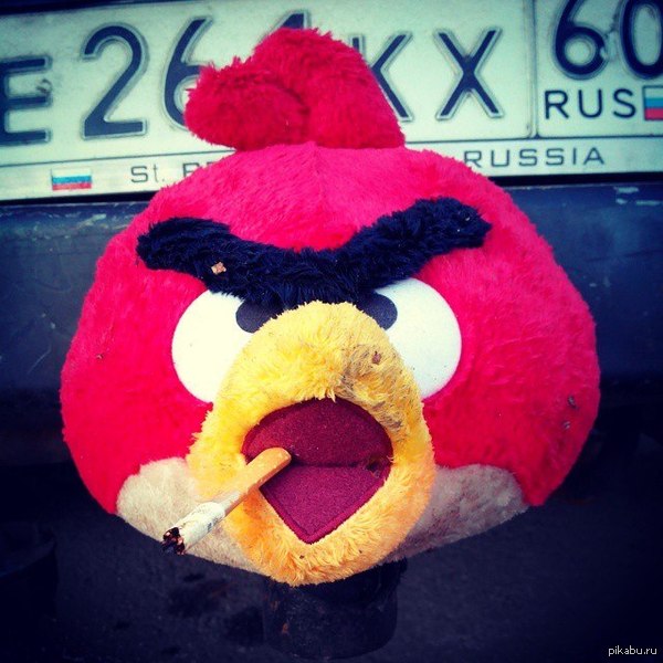 Angry Birds Russian Edition 