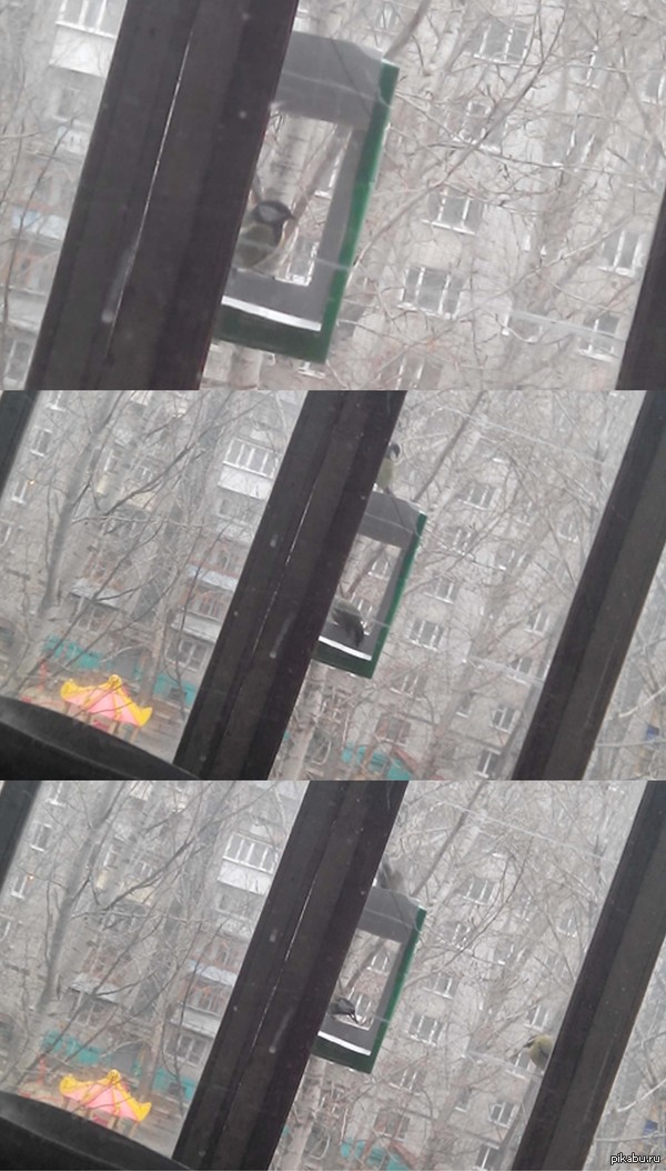 ������� ������� ��������. ��� ��� ����, ������� �� ����� ������ ��������� :D