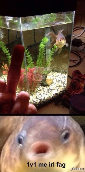 �� ������ �� ���� ����� ������!