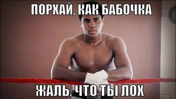 Порхай, как бабочка