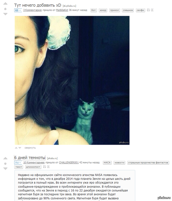 Коте и темнота