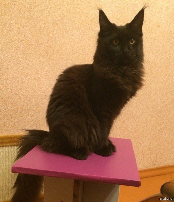 6 �������