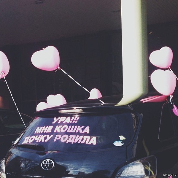 �������� ����� ����� :3