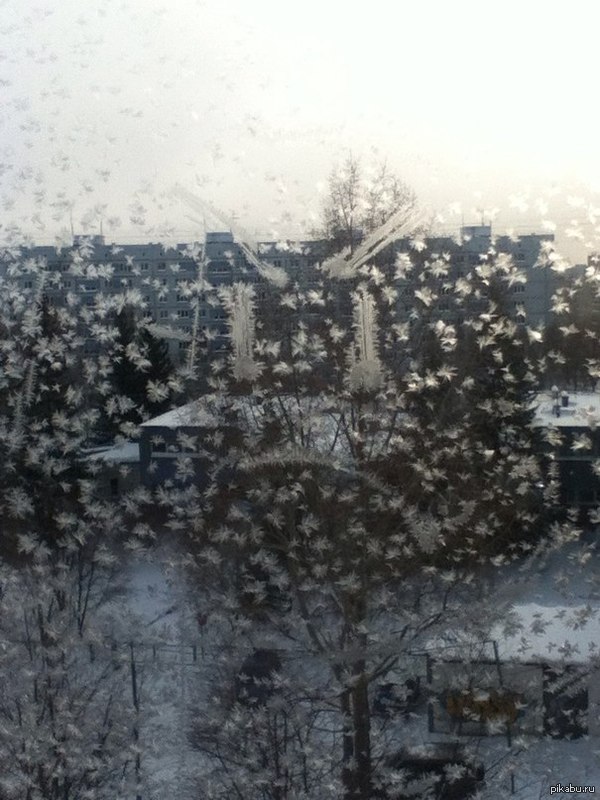 ���� ������ �� ������...