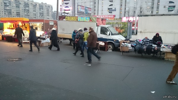 ������ ����