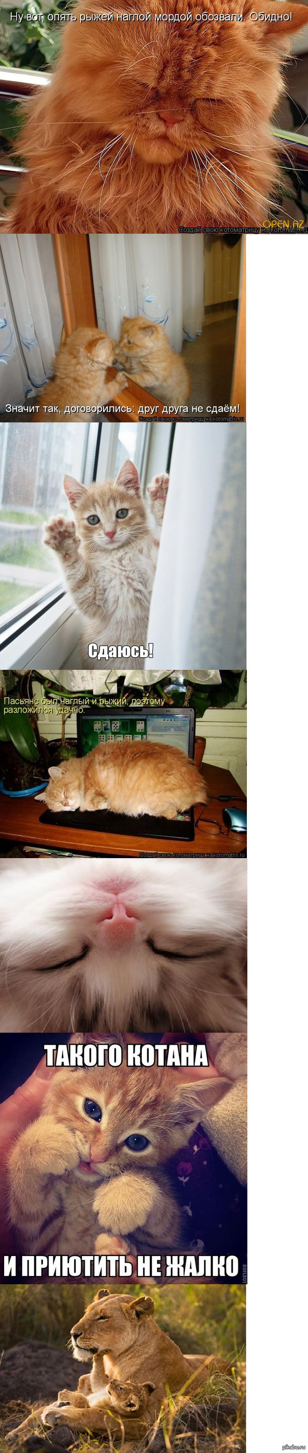 ������ �����������