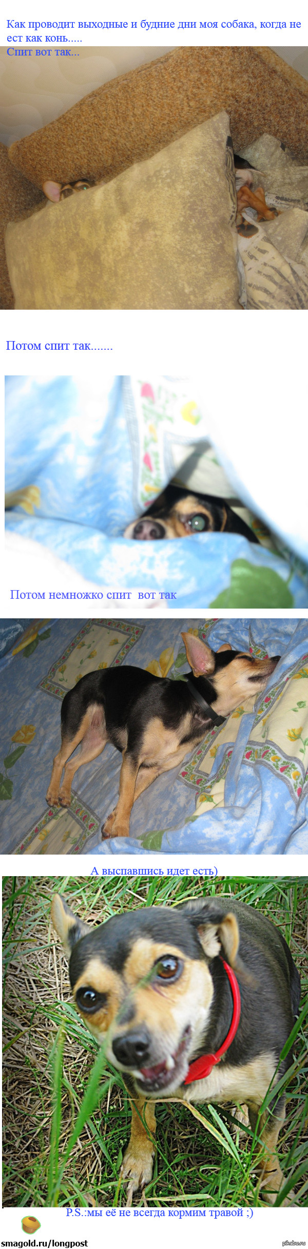 ��� (����� ������������� �����)