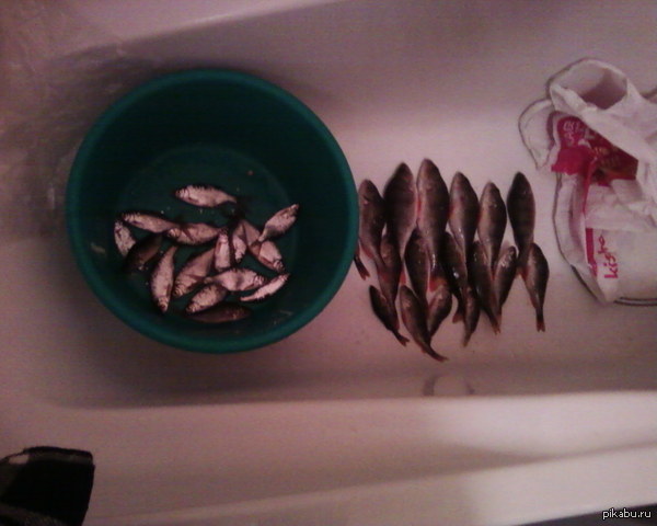 ������ ������ ������� 2014