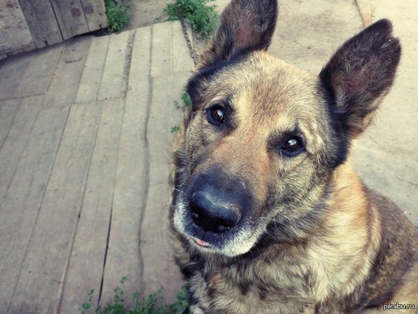 Покойся с миром, мой лучший друг...