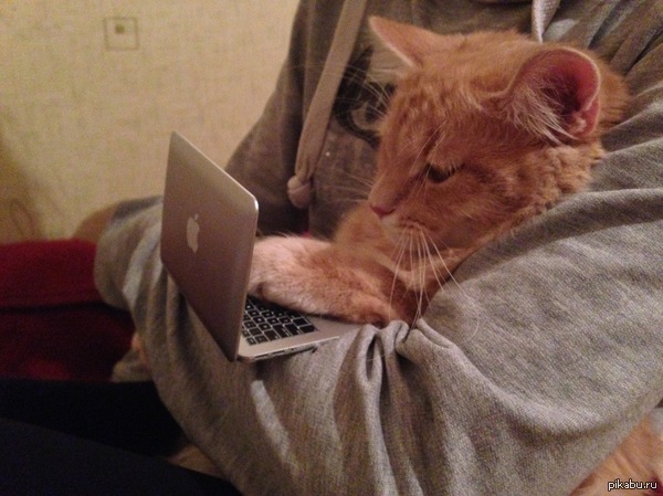 ��� ����� �� ���� 