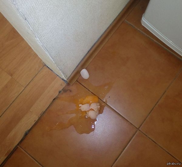 ������ ����