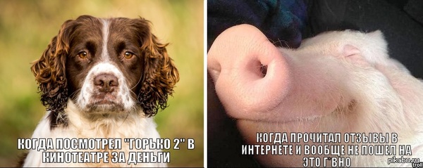 Крик души...)