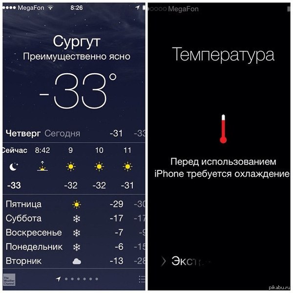 ����� ������ ������!