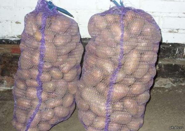 А вот, что можно купить на 10$ в Белоруссии =)