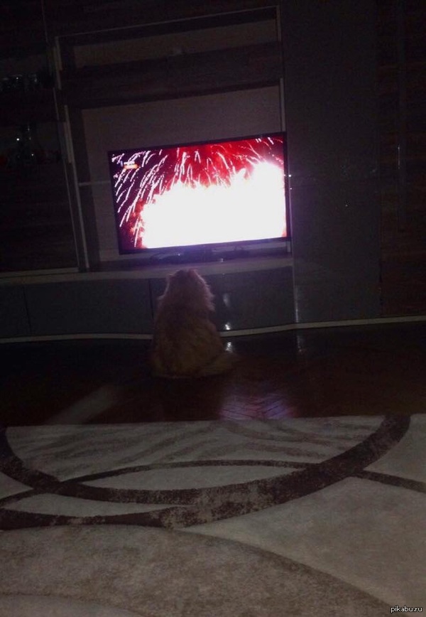 ������ ���, ������� ������� ����� �� ����������