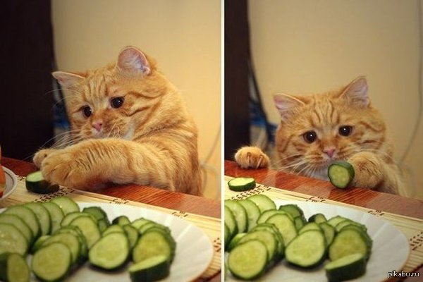 ��-����� ��� �������� ������ ������