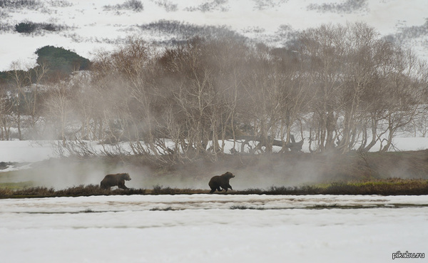 "Ну, подожди, ну куда ты!?"