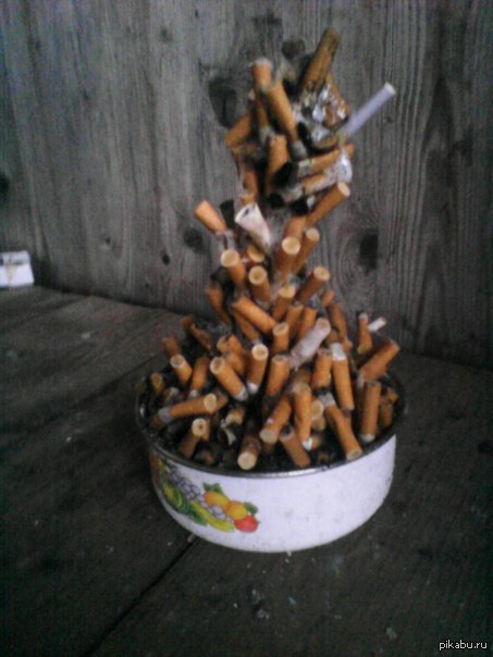 Christmas tree from smokers - New Year, My, NSFW, Smoking, Christmas trees