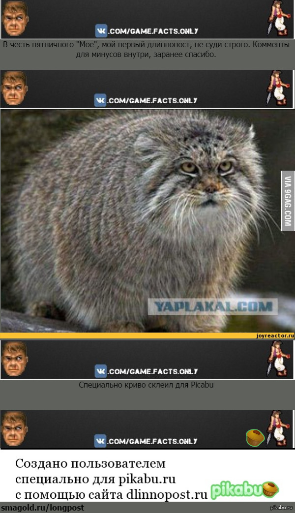 ������, ����������. ������, �� ������ ����� �������...