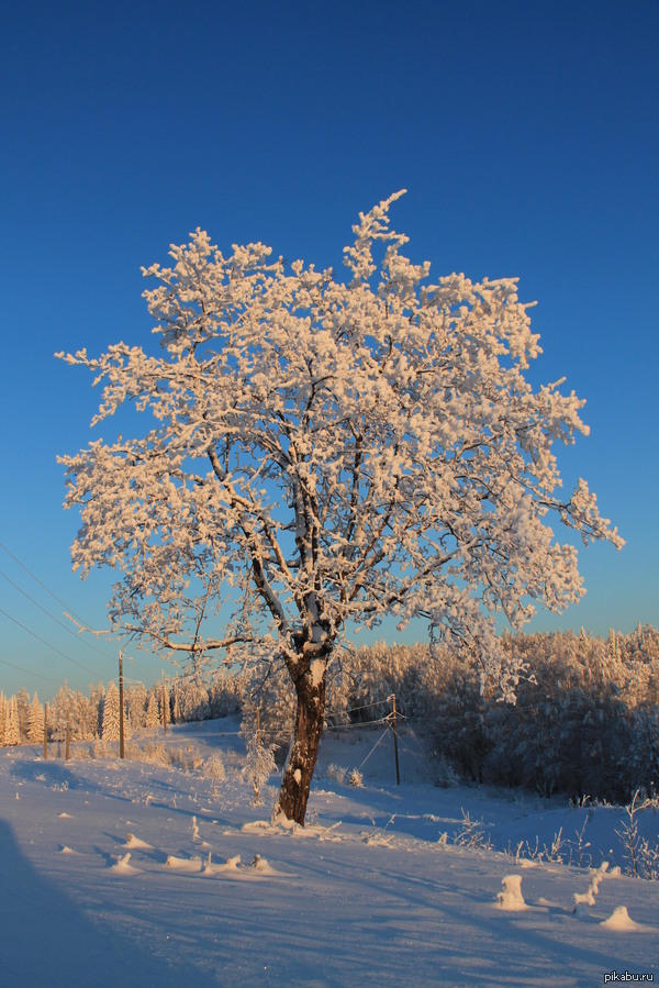 �������� �������