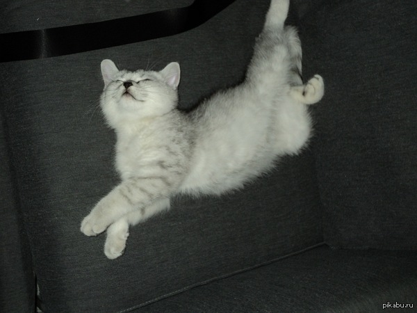 ������� ����� ����� �����))