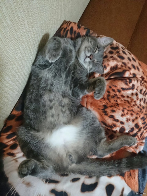 �������, ��� ��� ������� ������ :)