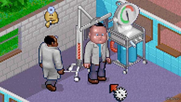 Theme hospital      ,       