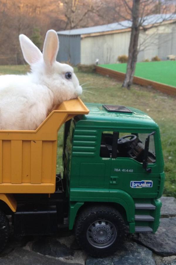 &quot;    &quot;     ..