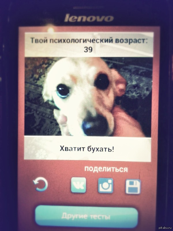 Сфоткали собаку...