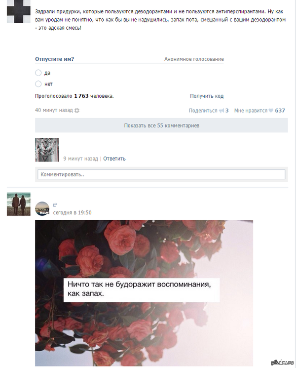 ����������.