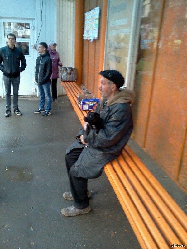 Доброты пост. Щенок подошёл к мужику на остановке, а он отдал ему последний кусок хлеба и забрал себе.