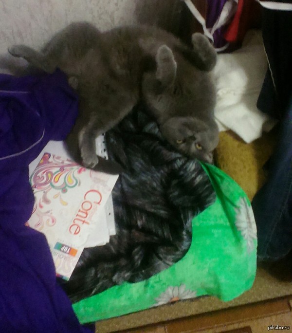 Экзорциста в студию...