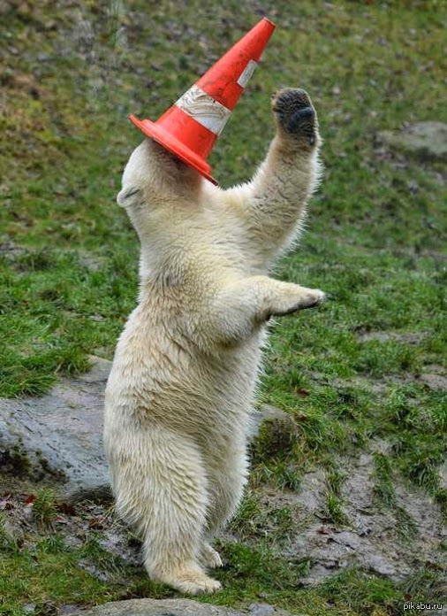 -   VLC, ? 