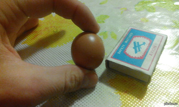 ��� ����� ������ ���� ��� ���� ������ &amp;#128020;