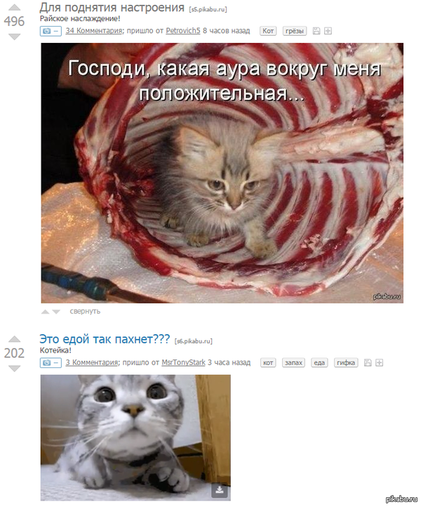 Интересно, мелкий поделится?