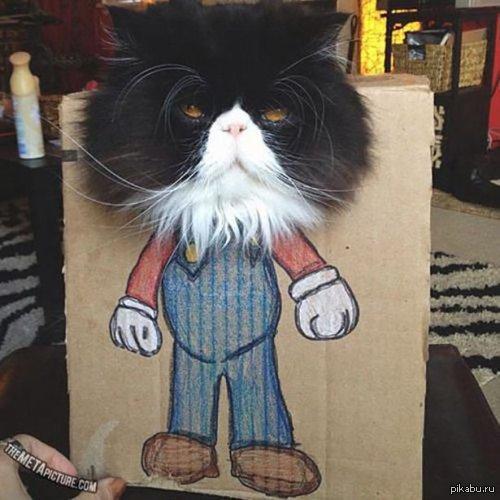 ��� �� ��������