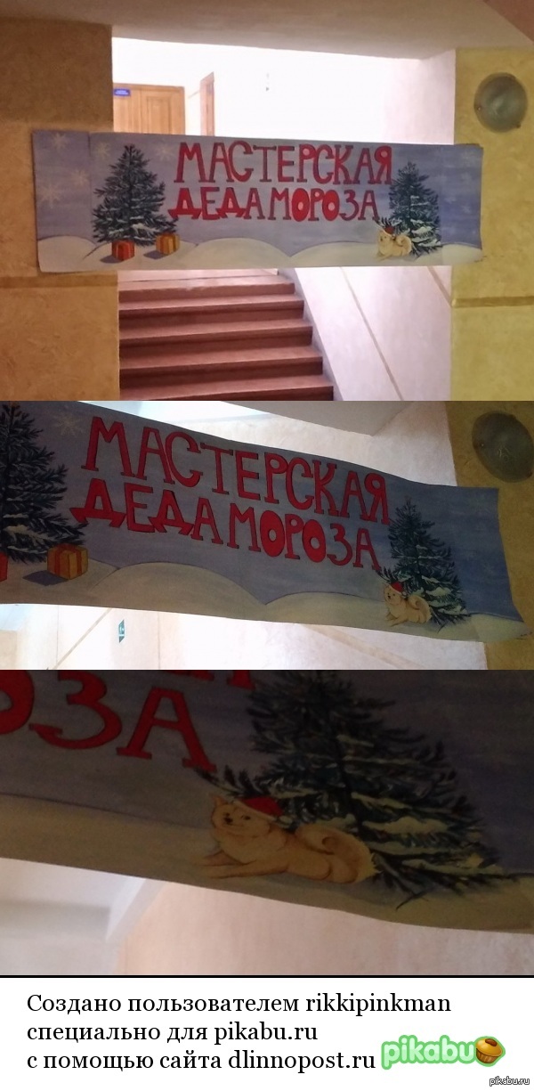 ��� ����� ��� ����