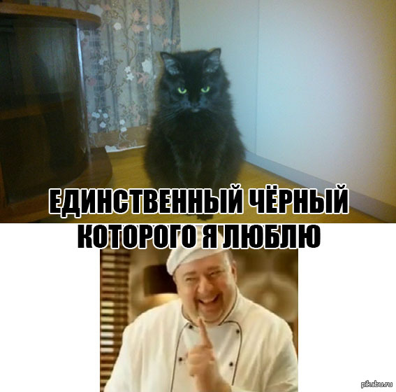 �������� �������.