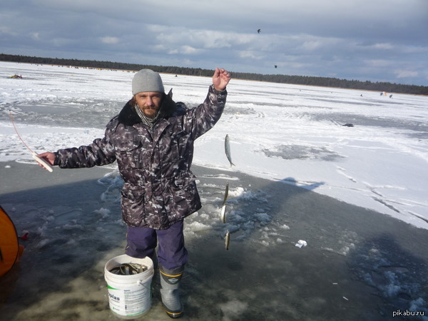 � � ��� ������� ���. ������������ �����!