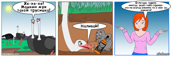 Из жизни страусов