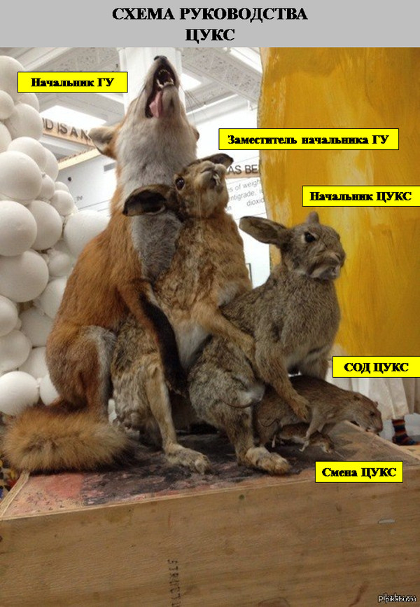 ����� ����������� ���� ��� ������ �������